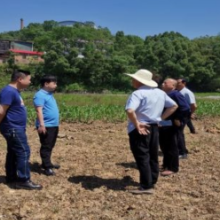 来自双峰政协委员的建言：九年荒地变良田