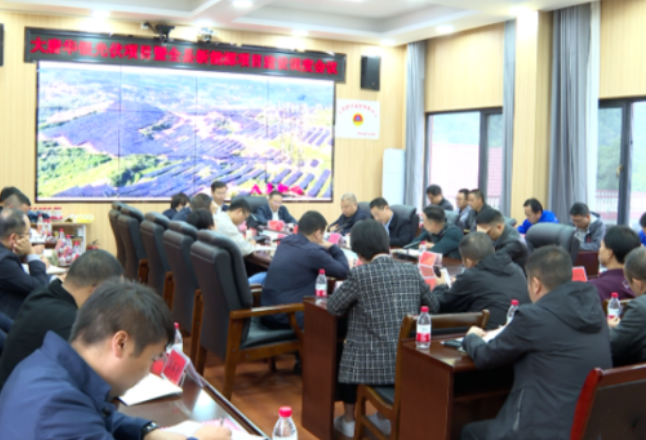 左志锋调度大唐华银光伏项目暨全县新能源项目建设工作