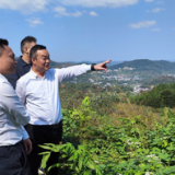 陈创业率队深入乡镇街道督导安全生产和巡林工作
