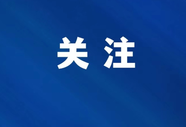 法院税务联动出实招 优化营商环境显成效