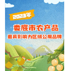 长图速览丨2023年娄底市农产品最具影响力区域公用品牌