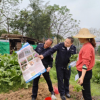 强宣传严踏查 守好一方净土——龙塘镇多措并举推进禁种铲毒工作