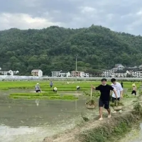 冷水江市：按下10.4万亩早稻生产“加速键”