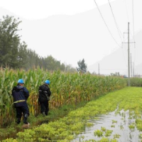 国网涟源：雨后特巡“不停歇” 护航电网运行