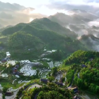 红视频｜紫鹊界梯田：水满田畴 夏日胜景