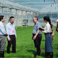 娄底经开区：多维共进 筑牢乡村振兴领域廉洁防线