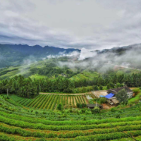 娄底：以铁的纪律守住粮食生产“命根子”