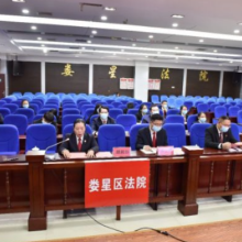 娄星法院少年法庭荣获省先进集体荣誉称号