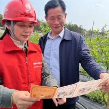 一线党旗红⑤娄底：持续升级“心”服务 乡村振兴充满“电”能量 
