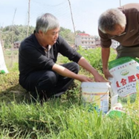 涟源市三协村：驻村干部绘就“一亩地”的幸福