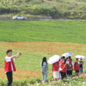 冷水江返乡大学生：在锡矿山望见家乡发展