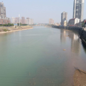 涟滨街道：行走在志愿一线的青春力量