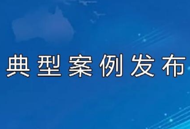 娄底发布全市公安机关夏季治安打击整治行动典型案例