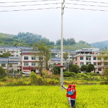 国网冷水江：“满格电”助秋收粮满仓