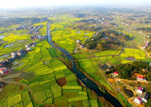 “枫”景这边独好③双峰锁石：聚力“四个一” 基层治理“多点开花”