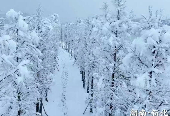 湖南新化：初雪如约而至 银装素裹美如画