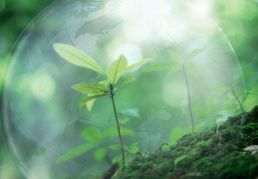娄底：加强联合排查整治 全面消除生态安全隐患
