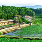 开年即冲刺：双峰县领导率队赴深圳考察招商