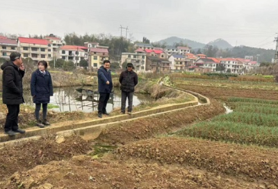 涟源农商银行：“蔬”解民忧 赋能乡村振兴跑出加速度