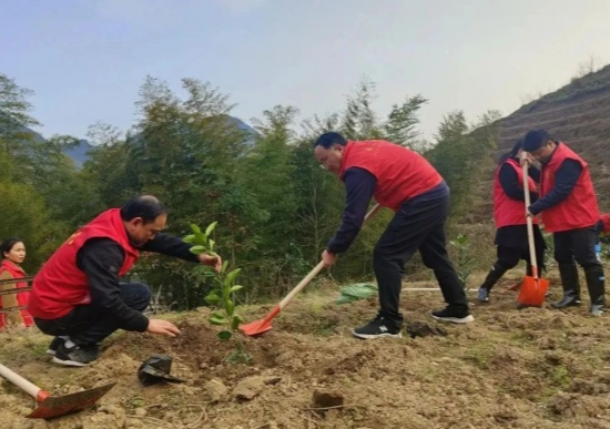 涟源法院开展义务植树主题党日活动