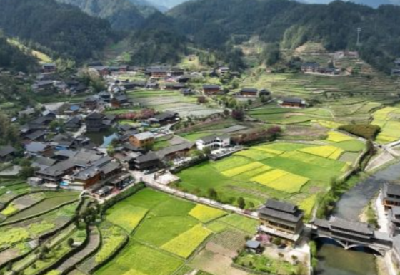 新化县举办“秘境桃花源 茶寿奉嘎山”乡村音乐旅游节