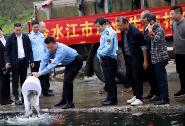 冷水江：司法增殖放流修复资江渔业生态