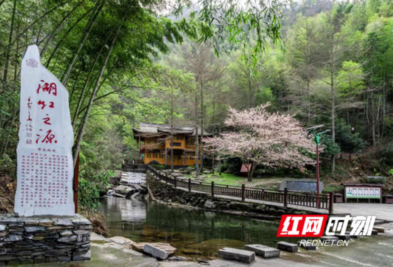新化红茶·茶山 | 新化这片山，为何成为湖红之源？