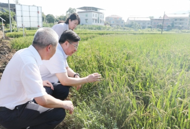 邹文辉赴涟源市调研：以救灾补损促增收为重点 在精细化管理服务上下功夫