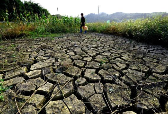 娄底：水土流失呈现面积强度“双下降”