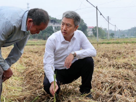曾超群在娄星区调研：以务实举措推动全市生态环境质量持续改善