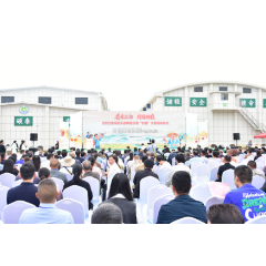 “娄米”出湘助振兴 “村播”添翼富农家