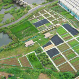视频丨娄星区桐梓铺屋场:“巴掌地”到“聚宝盆”