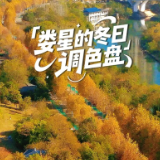 娄底：藏不住的诗意冬景，每帧都美到 “心巴” 上～