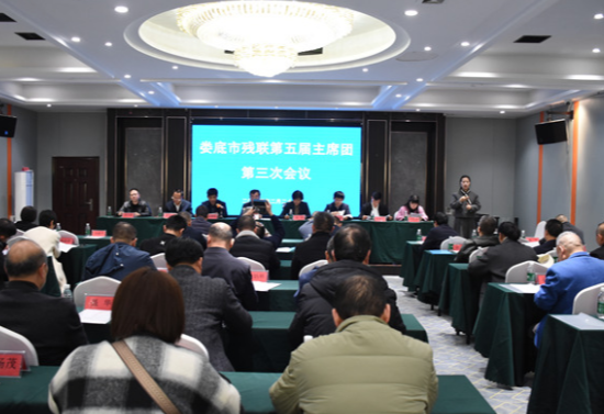 娄底：锚定“稳干实”三字方针 推动残疾人事业迈向新高度