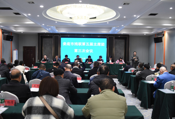 娄底：锚定“稳干实”三字方针 推动残疾人事业迈向新高度