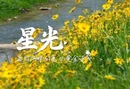 视频｜娄星区高灯河畔的夏日黄金诗笺