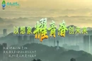 视频｜以想象 耀青春 创未来——娄底第三届大学生音乐文化节主题短片