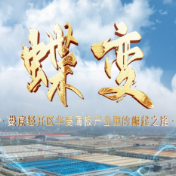 视频 | 蝶变——娄底经开区华菱薄板产业园的崛起之路