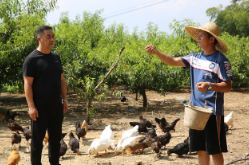 兵支书⑨丨刘中华：从“煤渣山”到“楠木海” 十年打贏矿山生态翻身仗