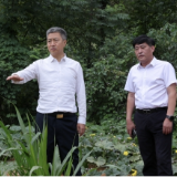 曾超群“四不两直”抽查回访生态环境问题整改情况