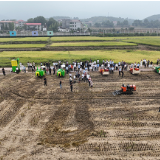 全国油菜专家双峰“论剑” 为油菜产业开出“科技良方”