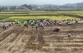 全国油菜专家双峰“论剑” 为油菜产业开出“科技良方”