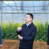 何朝晖到娄星区调研:抢抓农时打好春耕生产第一仗 用心用情做好送上门的群众工作