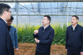 何朝晖到娄星区调研：抢抓农时打好春耕生产第一仗 用心用情做好送上门的群众工作