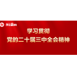 凝聚青春力量 谱写奋斗华章 | 湖南省委党校青年学习热议党的二十届三中全会精神