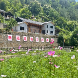 “红花”是镌刻在时光里永恒的牵挂