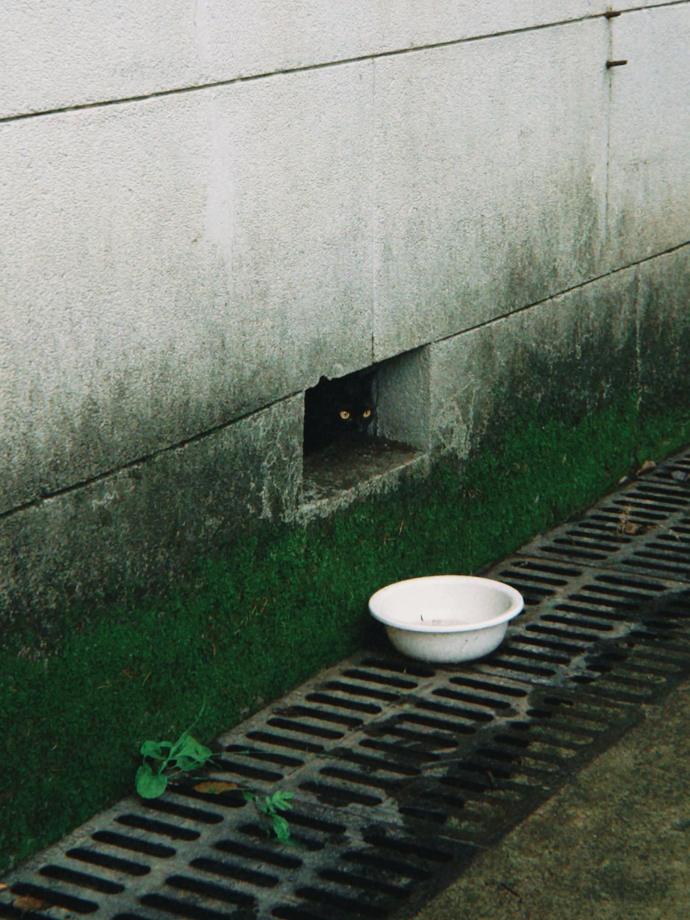 赵圆圆2.JPG
