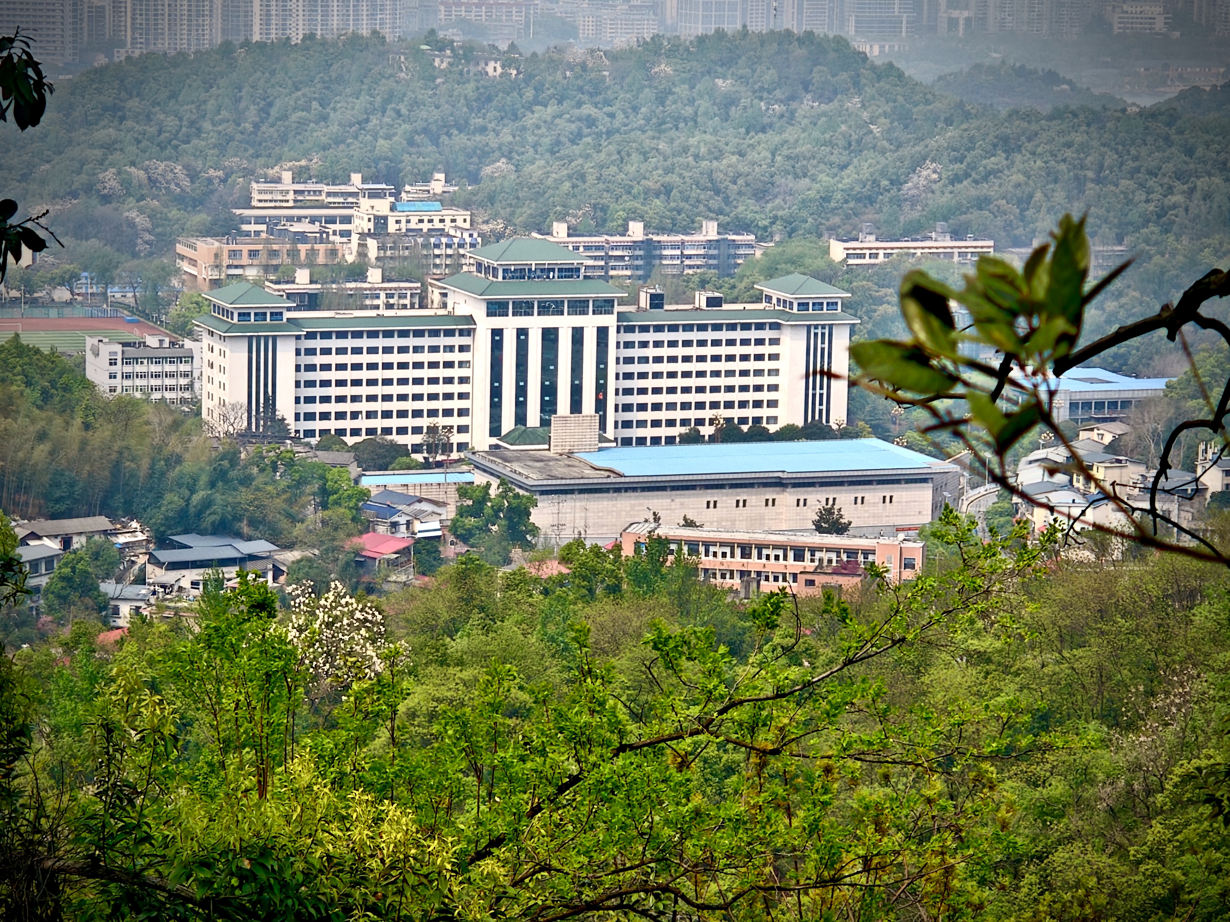 岳麓山巅.jpg