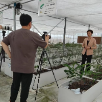 中央广播电视总台《榕知中国》摄制组走进邵东——为泰国观众讲述中国百强县的产业故事