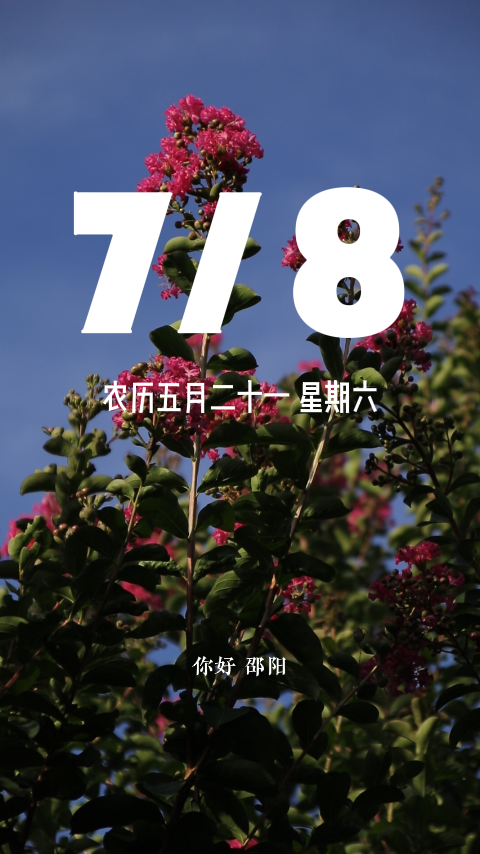 7月8.png